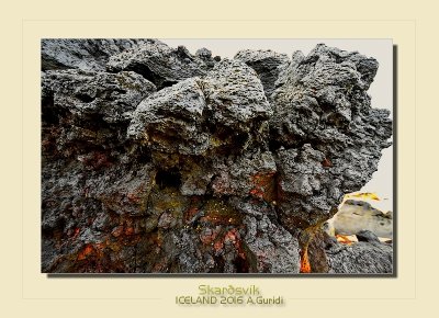 _DSC0688.jpg