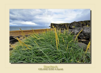 _DSC0681.jpg
