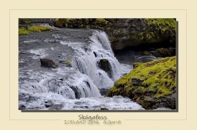 _DSC6979.jpg