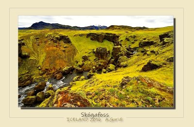 _DSC1824.jpg