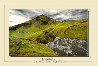 _DSC1798.jpg