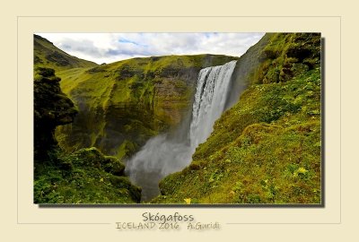 _DSC1786.jpg