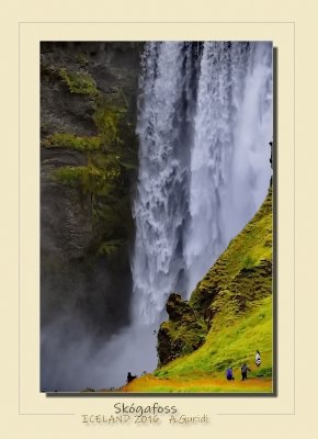 _DSC6985.jpg