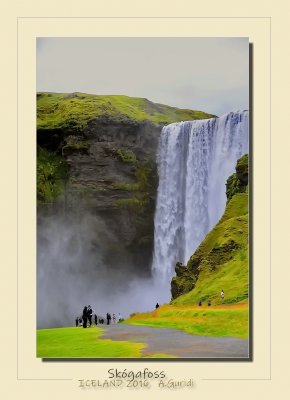 _DSC6984.jpg