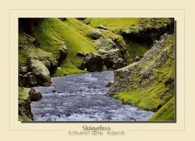 _DSC6976.jpg