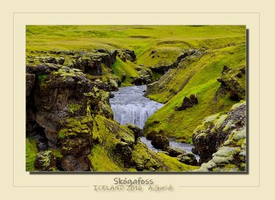 _DSC6975.jpg