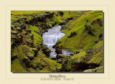 _DSC6967.jpg