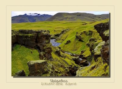 _DSC6965.jpg