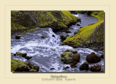 _DSC6964.jpg