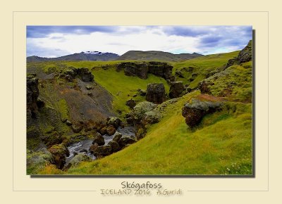 _DSC6959.jpg