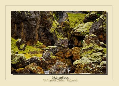 _DSC6953.jpg