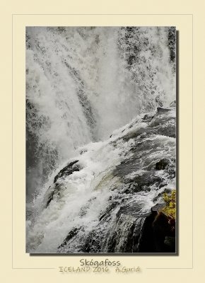 _DSC6936.jpg