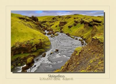 _DSC6927.jpg
