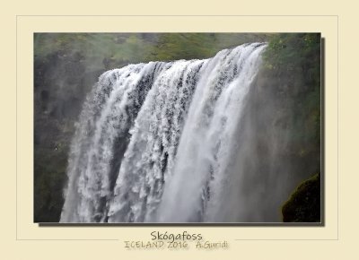 _DSC6880.jpg