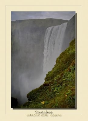 _DSC6879.jpg