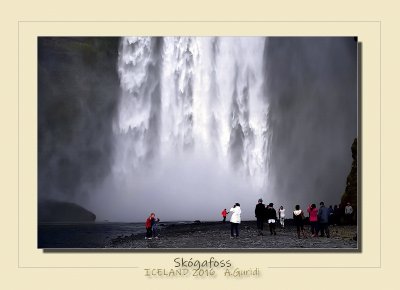 _DSC6866.jpg