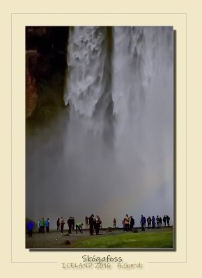 _DSC6861.jpg