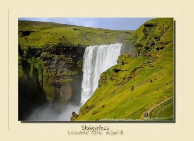 _DSC6855.jpg