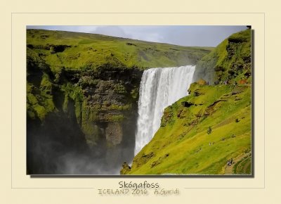 _DSC6854.jpg