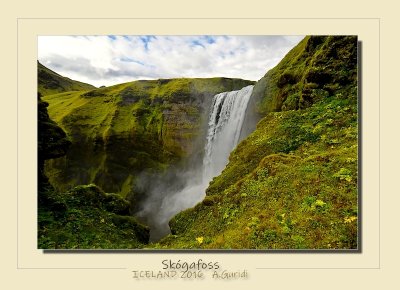 _DSC1785.jpg