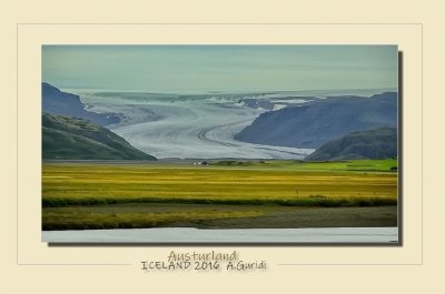 _DSC5426.jpg