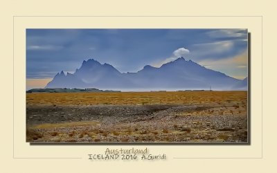 _DSC5284.jpg