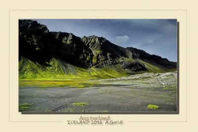 _DSC5246.jpg