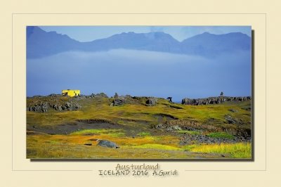 _DSC5210.jpg