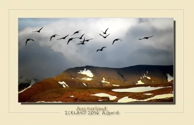 _DSC4232.jpg