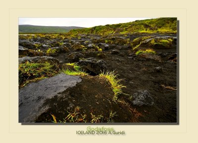 _DSC0996.jpg