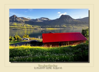 Reyðarfjörður ICELAND 2016