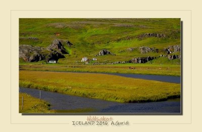 _DSC4557.jpg