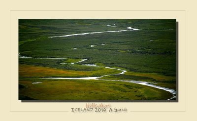 _DSC4480.jpg