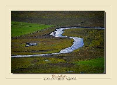 _DSC4478.jpg