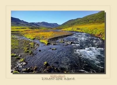 _DSC4400.jpg