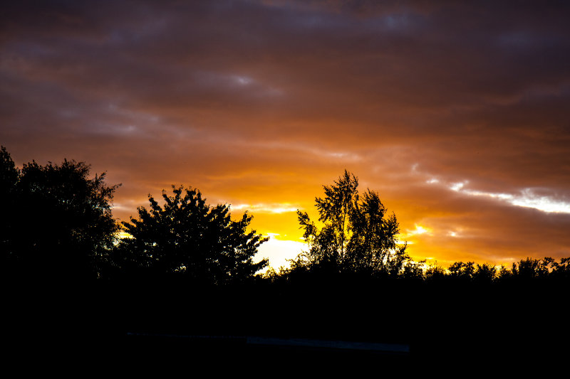 IMG_9905.jpg
