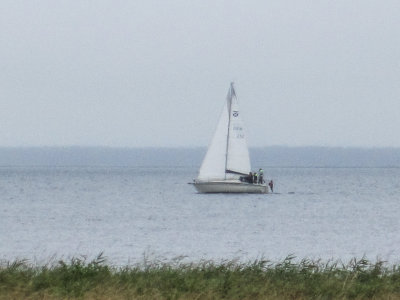 IMG_0879.jpg