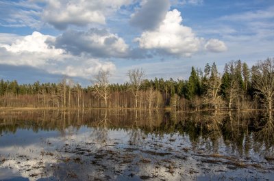 Pededze meadows during spring flood