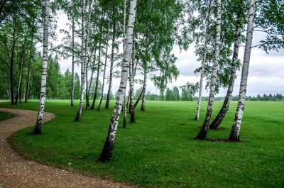 Liktendarzs (Garden of Destiny) in Koknese