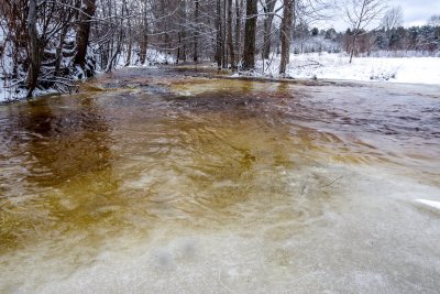 Ivande creek in Renda