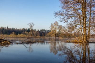 Aiviekste near Laudona