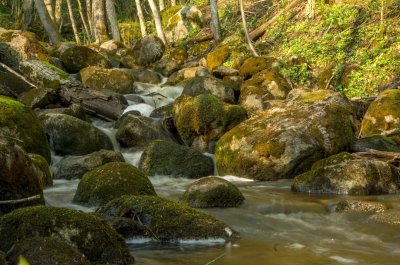 Vegerupite rapids