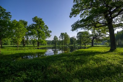 Pededze floodplain after the flood