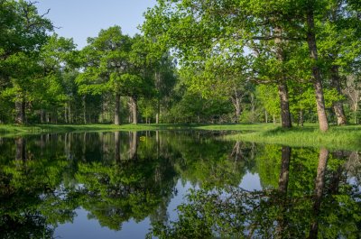 Pededze floodplain after the flood