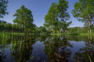 Pededze floodplain after the flood