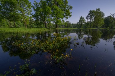 Pededze floodplain after the flood