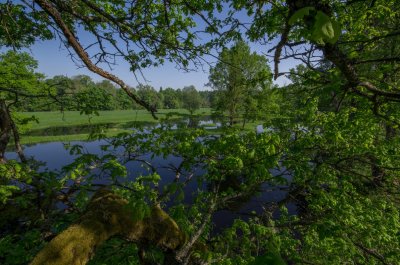 Pededze floodplain after the flood