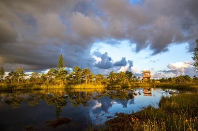 Kemeri National Park in a dramatic mood