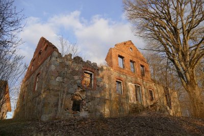 Zaube