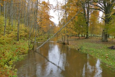 Vilce river in near Vilce manor 